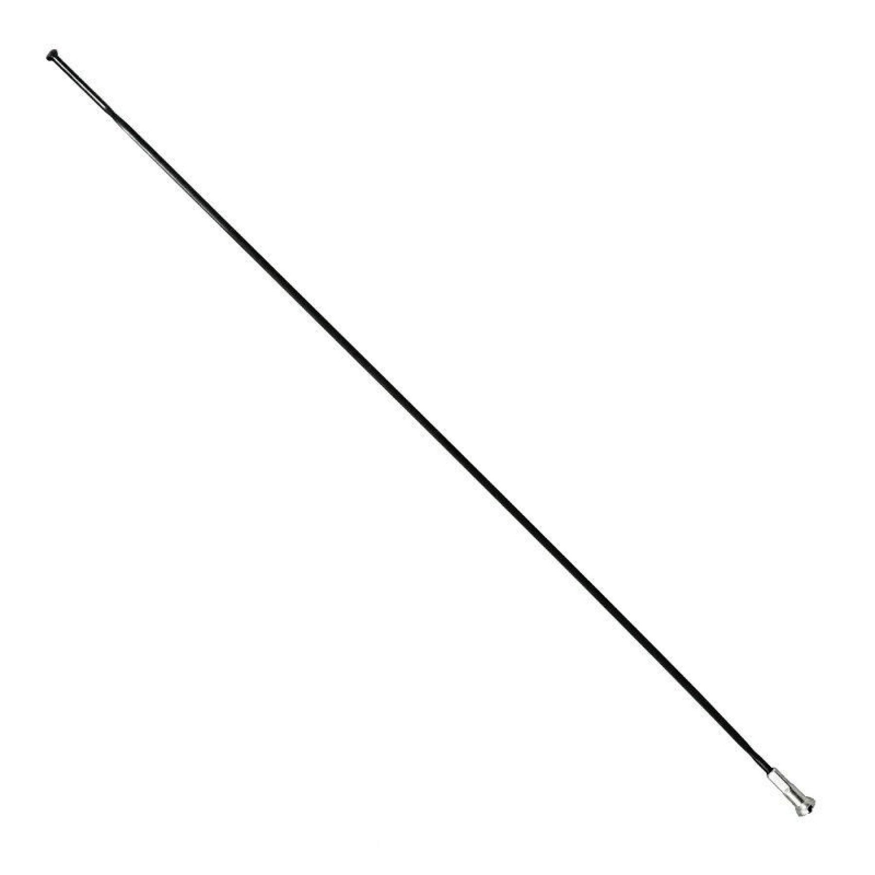 Flache Edelstahl-Speiche mit geradem Kopf und Muttern P2R Sapim 288 mm